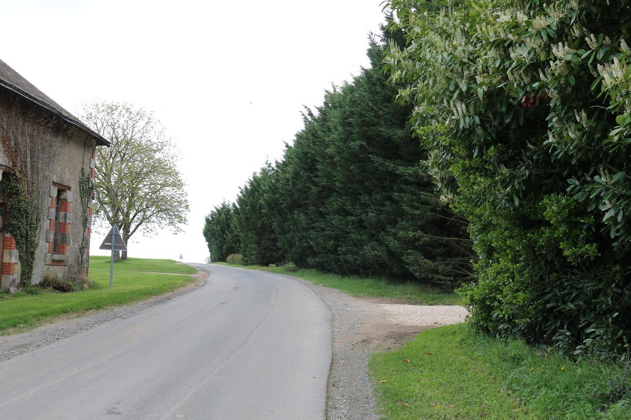 Domaine De Treuillaud Bed & Breakfast Villers-les-Ormes Bagian luar foto